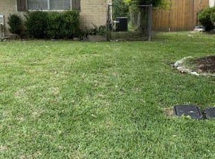 David T.'s grass maintenance service result