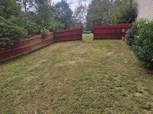 Derek H.'s lawn maintenance service result