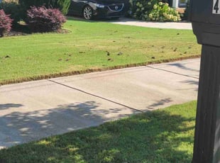 Lucas S.'s lawn care service result