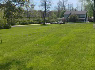 Misty J.'s lawn care service result