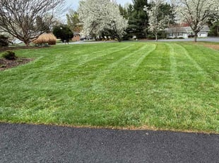 Sharon P.'s grass maintenance service result