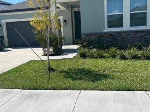 Diane L.'s lawn maintenance service result