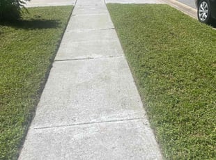 Anthony B.'s lawn care services service result