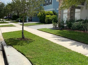 Joey B.'s lawn service service result