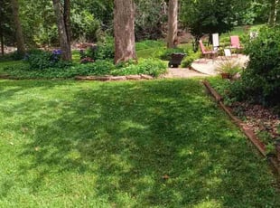 Dan F.'s lawn care service result