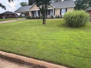 Matt P.'s lawn care services service result