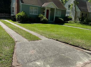 Tiara S.'s lawn maintenance service result