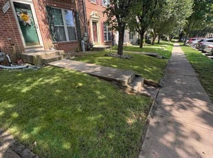 Kaylee P.'s lawn care services service result