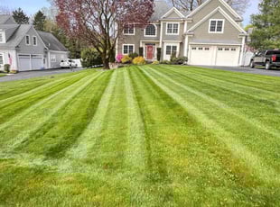 Theresa B.'s lawn maintenance service result