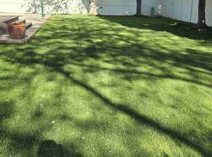 Alicia C.'s lawn maintenance service result
