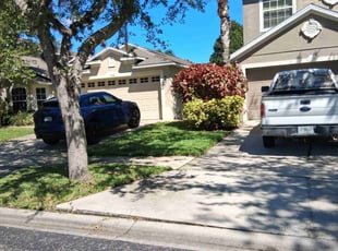 Sam B.'s lawn service service result