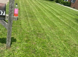 Charlene O.'s turf maintenance service result