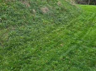 William M.'s lawn care service result