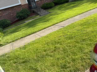 Laura N.'s grass maintenance service result
