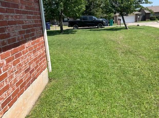 Juan B.'s grass maintenance service result