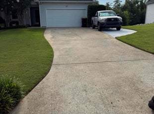Richard R.'s turf care service result