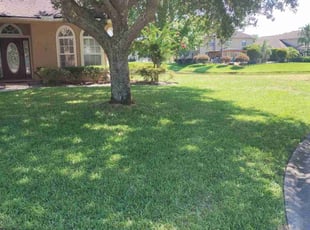 Vincent W.'s lawn care service result