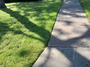 Ralph M.'s turf maintenance service result