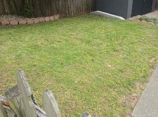 Brian M.'s grass maintenance service result