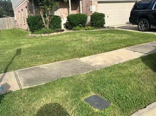 Lee K.'s lawn care service result