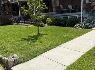 Jesus C.'s lawn service service result