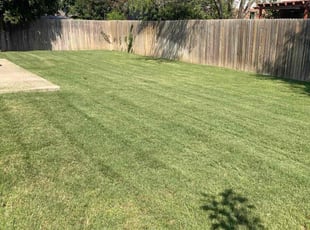 Wanda S.'s grass cutting service result