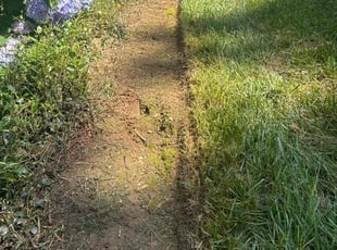 Haley W.'s lawn care service result