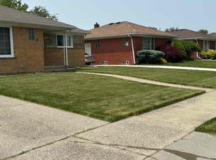 Suzanne B.'s grass cutting service result