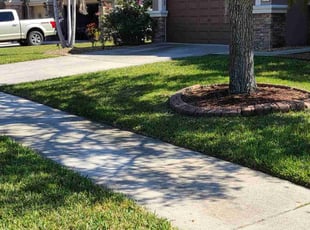 Dijana S.'s lawn care services service result