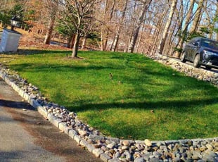 Kim K.'s Leaf Removal service result