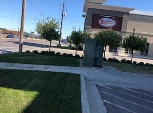 Barbara C.'s lawn care services service result