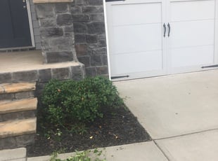 Cassandra G.'s Bush Trimming service result