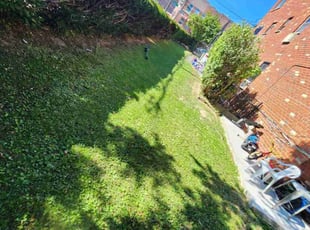 Eddy P.'s turf care service result