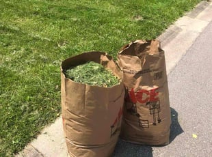 Vance M.'s Cleanups service result