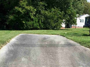 Morgan H.'s grass maintenance service result