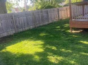 Rudy P.'s grass maintenance service result