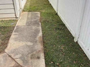 Llewellyn H.'s grass maintenance service result