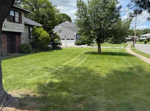 Kacey H.'s turf maintenance service result