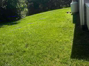 Hailey G.'s lawn care services service result