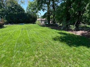 Lance P.'s turf maintenance service result