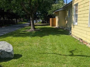 Jacob H.'s grass cutting service result