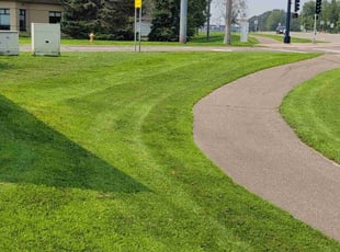 James S.'s turf care service result