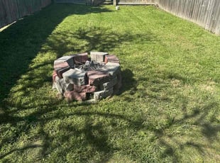 Bruce T.'s turf maintenance service result