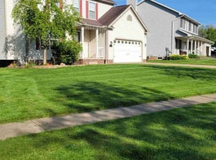Linda A.'s turf care service result