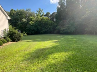 Raul M.'s lawn care services service result