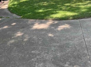 Kelly O.'s lawn maintenance service result