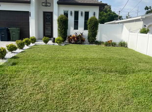Ashley T.'s lawn maintenance service result