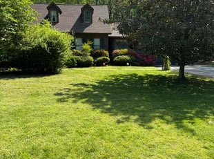 Jennifer C.'s lawn service service result
