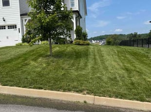 Benjamin S.'s turf maintenance service result