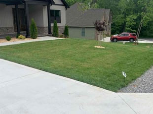 Stacy B.'s lawn service service result